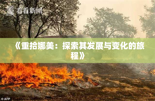 《重拾娜美：探索其发展与变化的旅程》