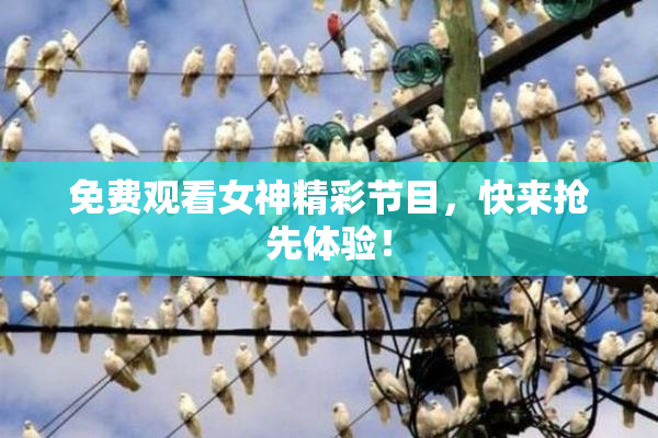 免费观看女神精彩节目，快来抢先体验！