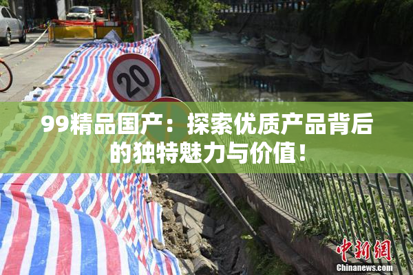 99精品国产：探索优质产品背后的独特魅力与价值！