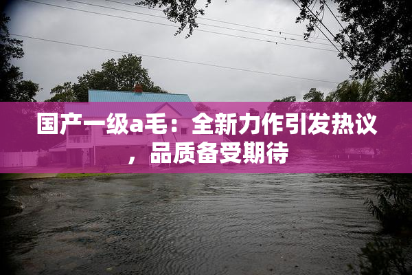 国产一级a毛：全新力作引发热议，品质备受期待