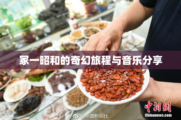冢一昭和的奇幻旅程与音乐分享