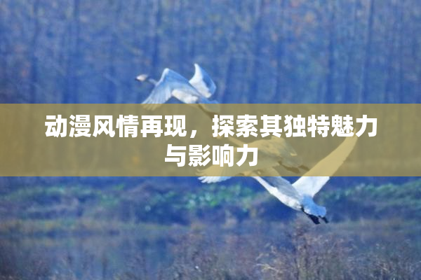 动漫风情再现，探索其独特魅力与影响力