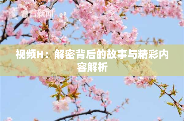 视频H：解密背后的故事与精彩内容解析
