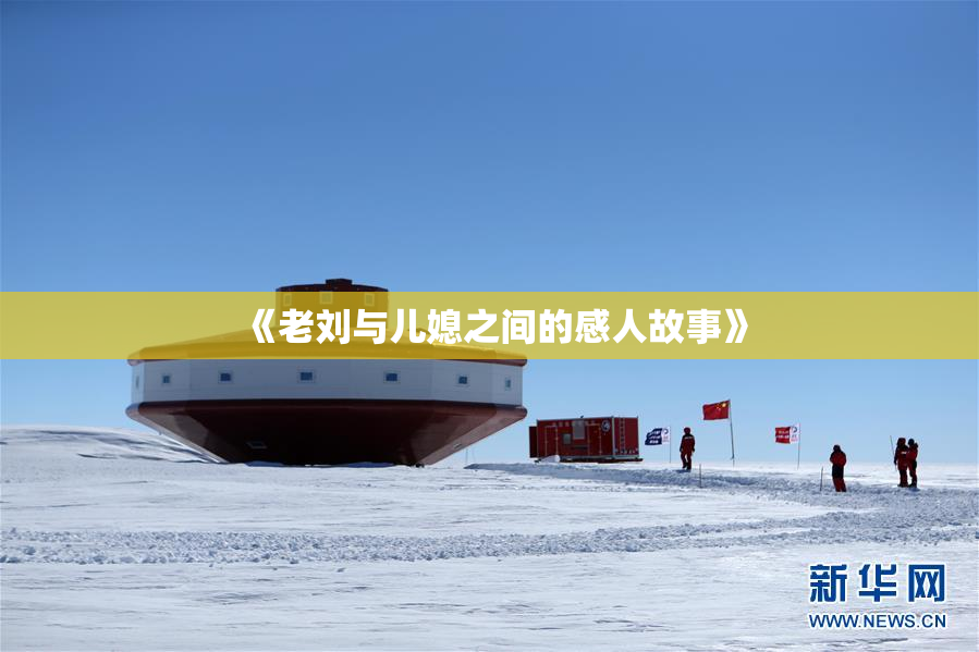 《老刘与儿媳之间的感人故事》