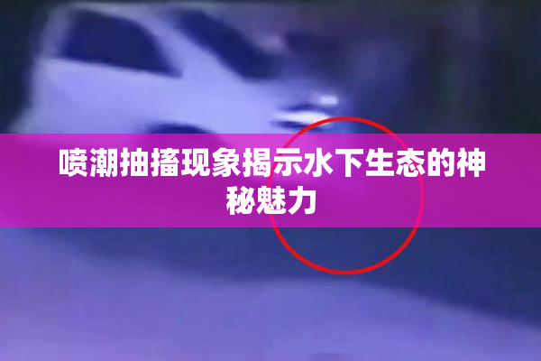 喷潮抽搐现象揭示水下生态的神秘魅力