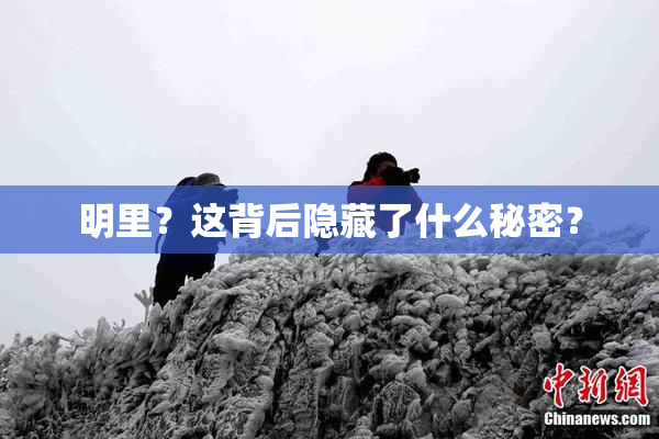 明里？这背后隐藏了什么秘密？