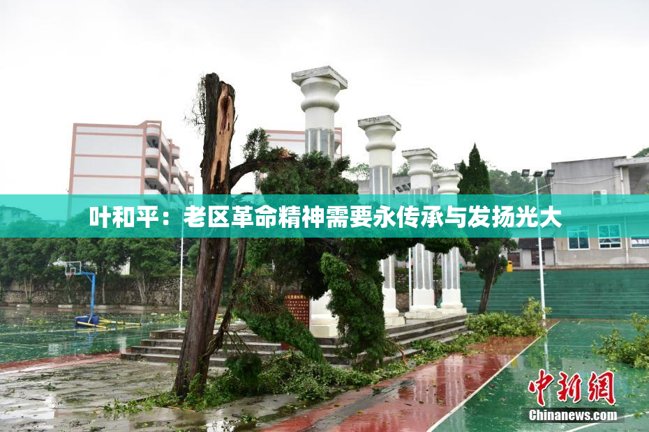 叶和平：老区革命精神需要永传承与发扬光大