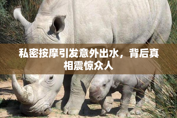 私密按摩引发意外出水，背后真相震惊众人