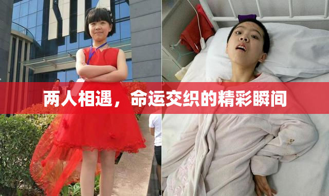 两人相遇，命运交织的精彩瞬间
