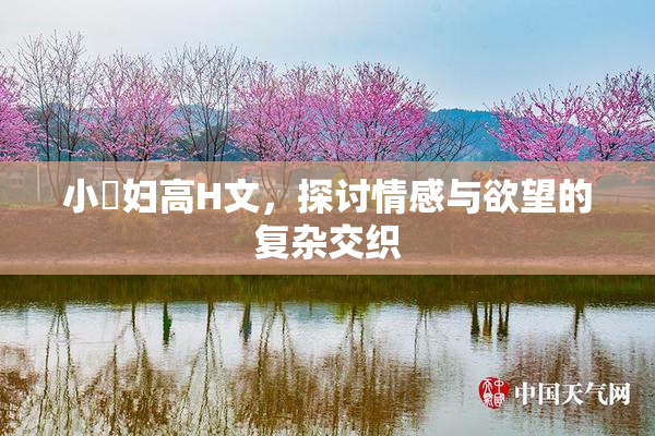 小婬妇高H文，探讨情感与欲望的复杂交织