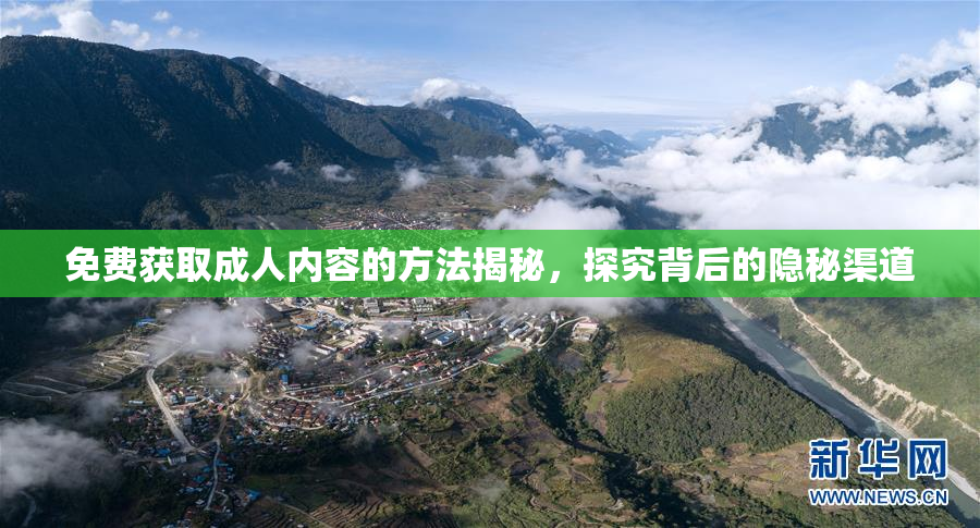 免费获取成人内容的方法揭秘，探究背后的隐秘渠道