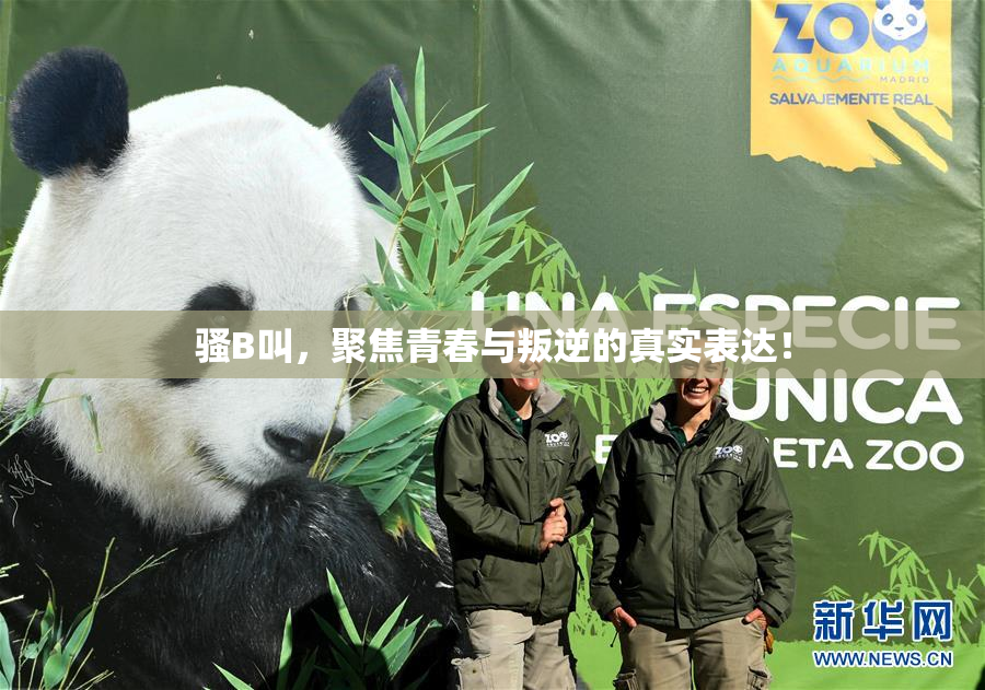 骚B叫，聚焦青春与叛逆的真实表达！