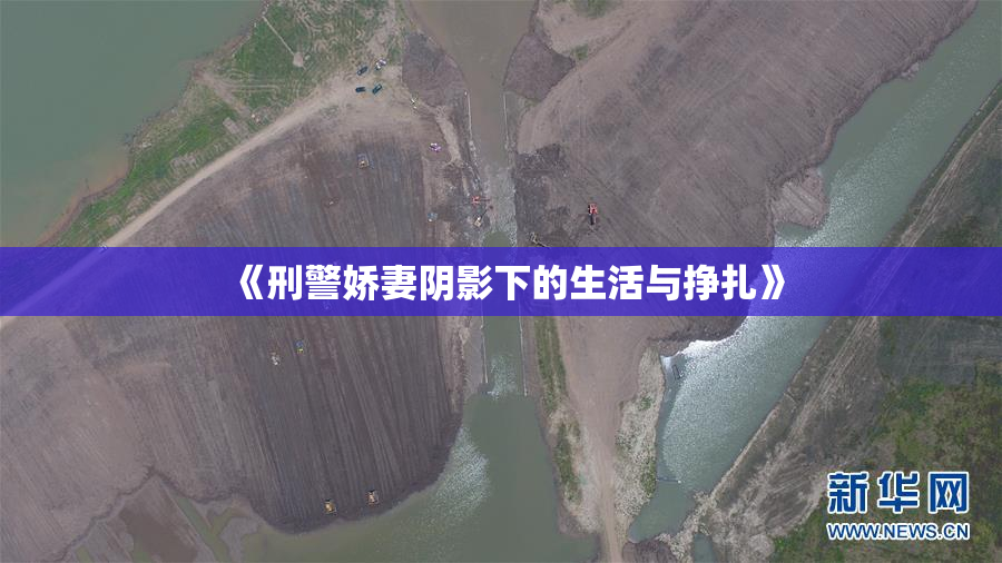 《刑警娇妻阴影下的生活与挣扎》