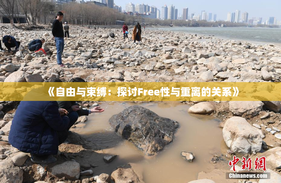 《自由与束缚：探讨Free性与重离的关系》