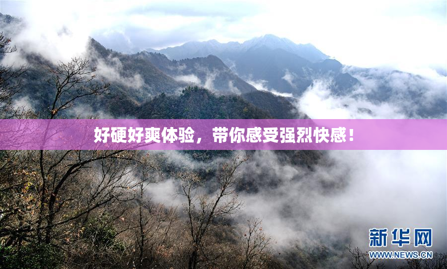 好硬好爽体验，带你感受强烈快感！
