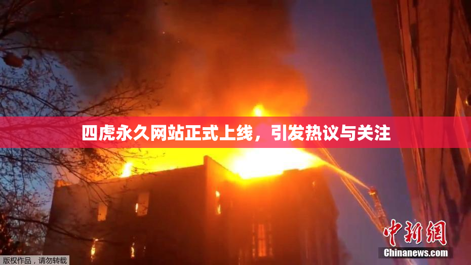 四虎永久网站正式上线，引发热议与关注