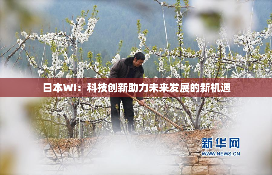 日本WI：科技创新助力未来发展的新机遇