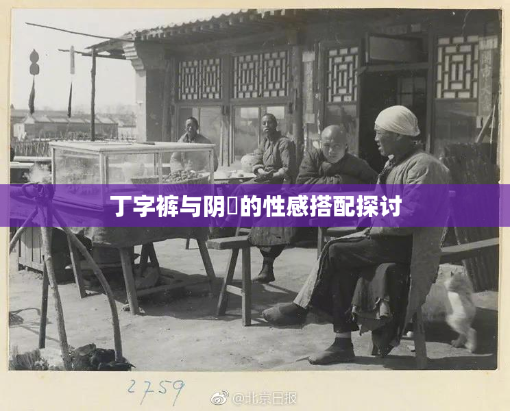 丁字裤与阴脣的性感搭配探讨