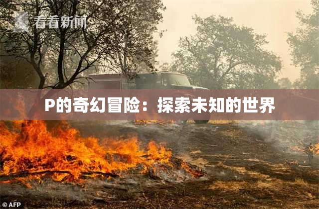 P的奇幻冒险：探索未知的世界