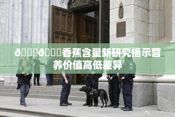 🔞🔞香蕉含量新研究揭示营养价值高低差异