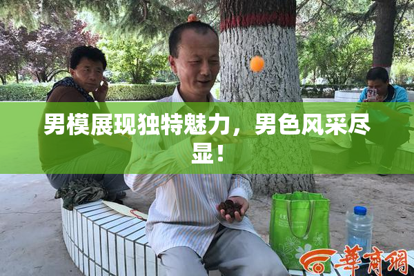男模展现独特魅力，男色风采尽显！