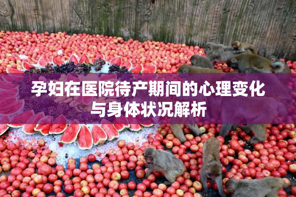 孕妇在医院待产期间的心理变化与身体状况解析