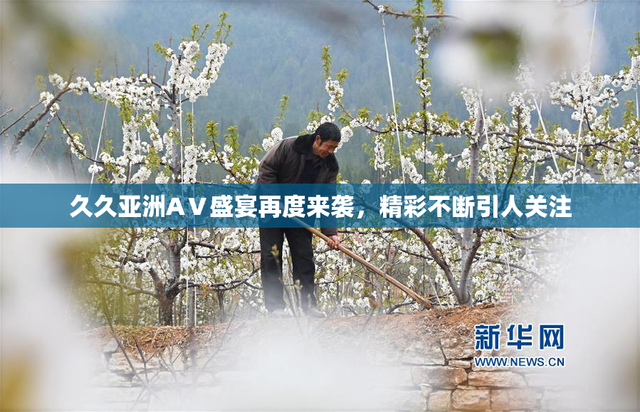 久久亚洲AⅤ盛宴再度来袭，精彩不断引人关注