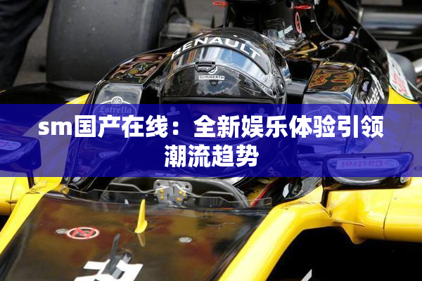 sm国产在线：全新娱乐体验引领潮流趋势