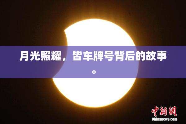 月光照耀，皆车牌号背后的故事。
