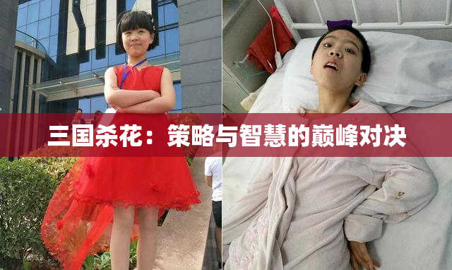 三国杀花：策略与智慧的巅峰对决