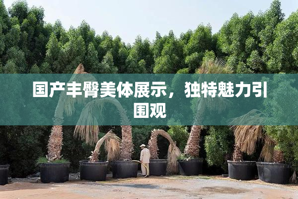 国产丰臀美体展示，独特魅力引围观