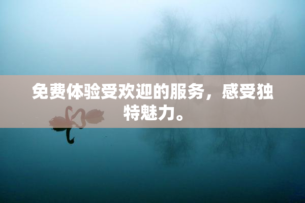 免费体验受欢迎的服务，感受独特魅力。