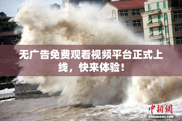 无广告免费观看视频平台正式上线，快来体验！