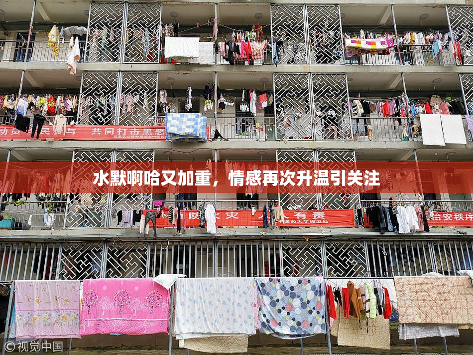 水默啊哈又加重，情感再次升温引关注