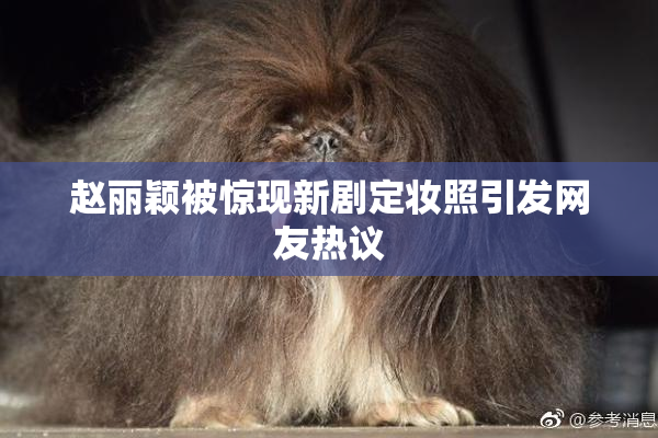 赵丽颖被惊现新剧定妆照引发网友热议