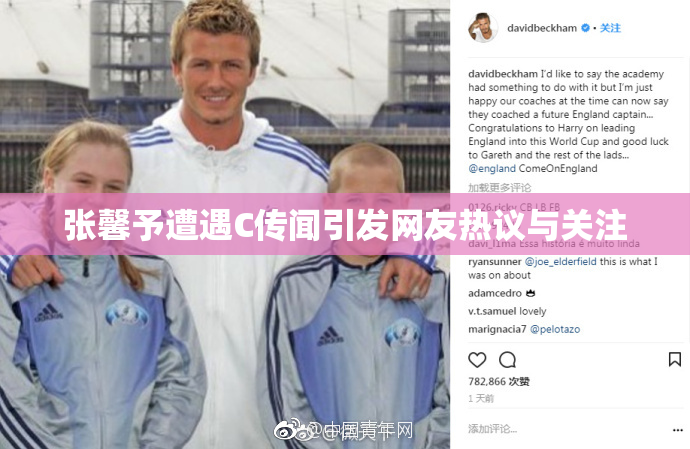 张馨予遭遇C传闻引发网友热议与关注