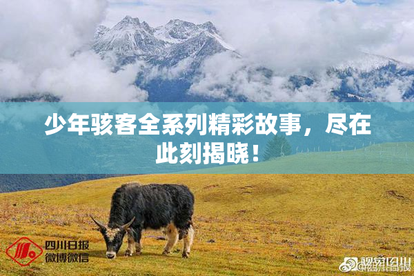 少年骇客全系列精彩故事，尽在此刻揭晓！