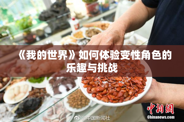 《我的世界》如何体验变性角色的乐趣与挑战