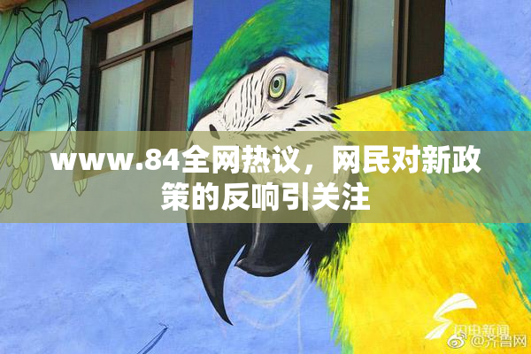 www.84全网热议，网民对新政策的反响引关注