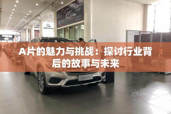 A片的魅力与挑战：探讨行业背后的故事与未来