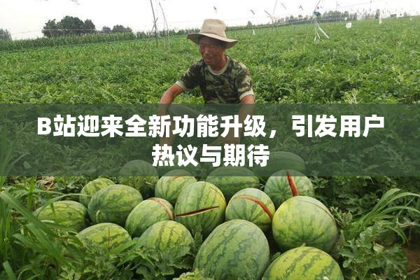 B站迎来全新功能升级，引发用户热议与期待
