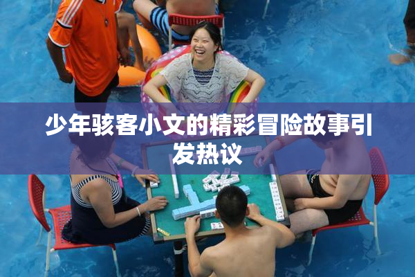 少年骇客小文的精彩冒险故事引发热议
