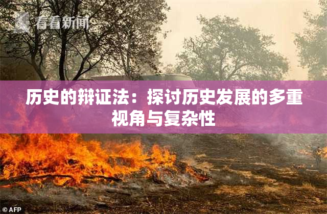 历史的辩证法：探讨历史发展的多重视角与复杂性