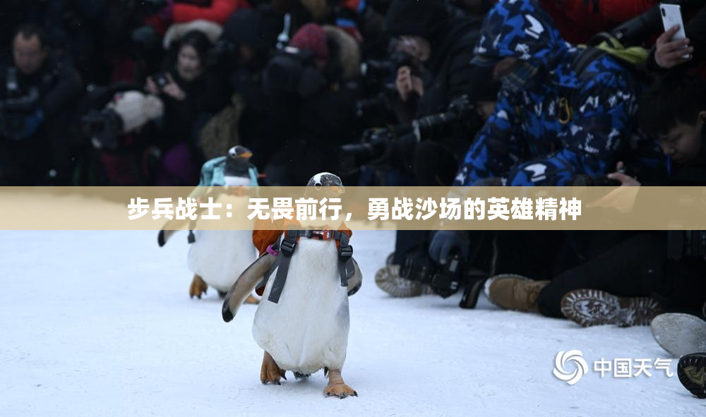 步兵战士：无畏前行，勇战沙场的英雄精神