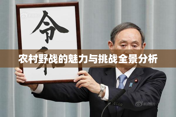 农村野战的魅力与挑战全景分析
