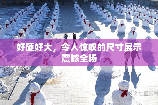 好硬好大，令人惊叹的尺寸展示震撼全场