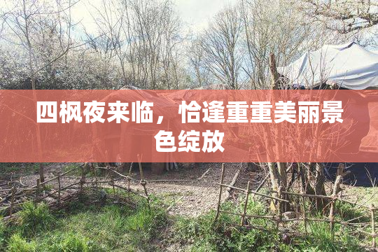 四枫夜来临，恰逢重重美丽景色绽放