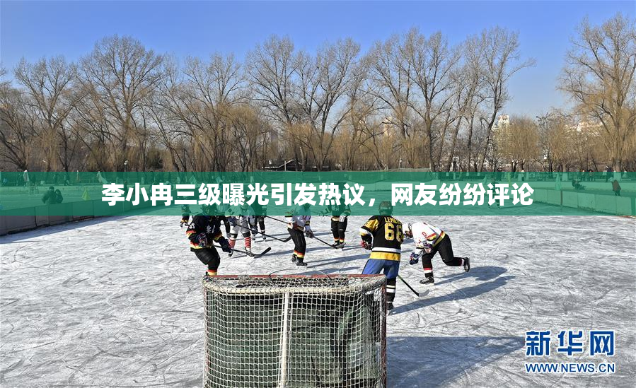 李小冉三级曝光引发热议，网友纷纷评论
