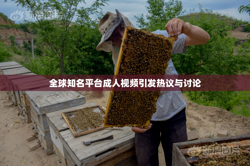 全球知名平台成人视频引发热议与讨论