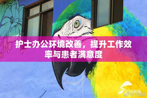 护士办公环境改善，提升工作效率与患者满意度